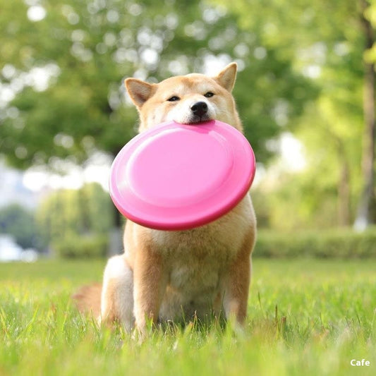 Flytande Frisbee- Hund Frisbee