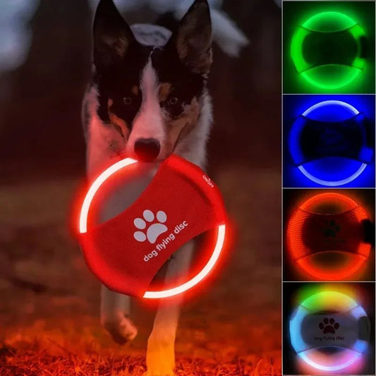 Hundfreesbee med LED‑ljus – lysande flygskiva för utomhuslek